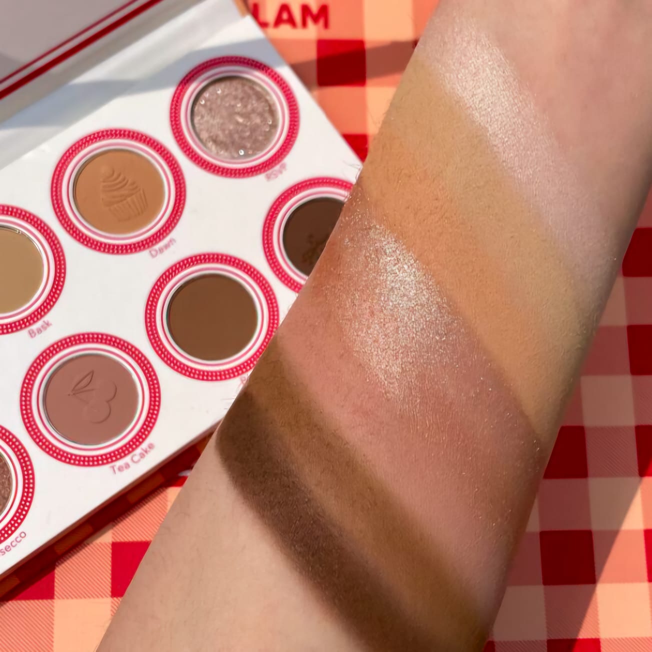 Sheglam Sunday picnic eyeshadow spread